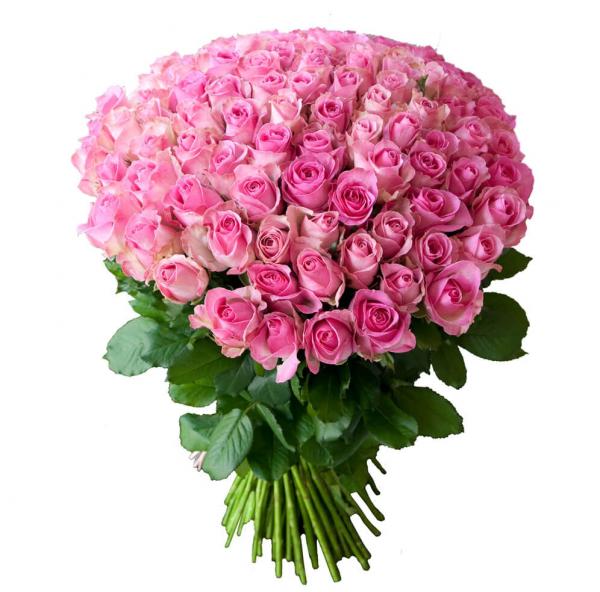 101 pink roses. images/pages/gift/101-pink-roses-s3S.jpg