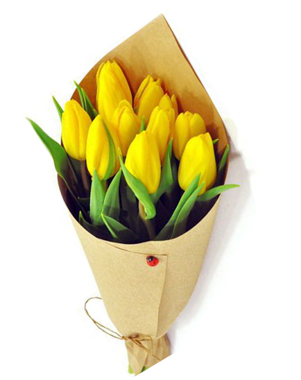 11 tulipes. images/pages/gift/11-tulips-19V.jpg