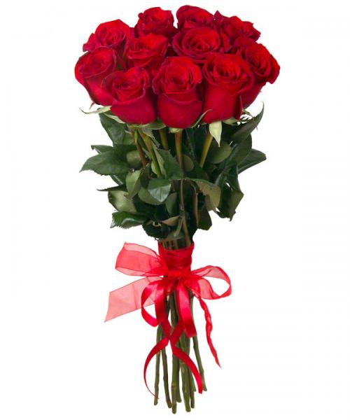 11 Red Roses. 11_Red_Roses-RV6.jpg