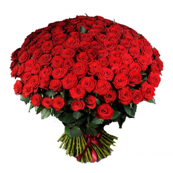51 Ukrainian red roses. 151-ukrainian-red-roses-r4s.jpg