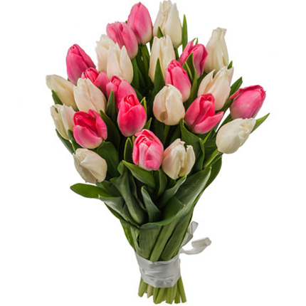 25 tulips. 25-tulips-Fjy.jpg