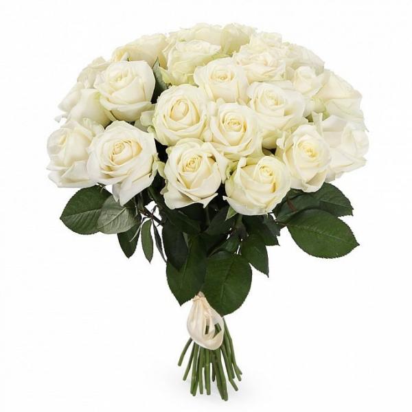 25 roses blanches. images/pages/gift/25-white-roses-5N8.jpg