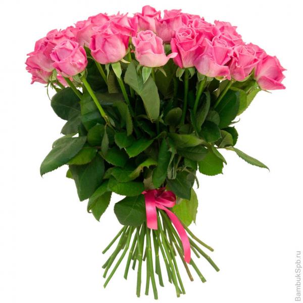 39 pink roses. 39-pink-roses-Gj2.jpg