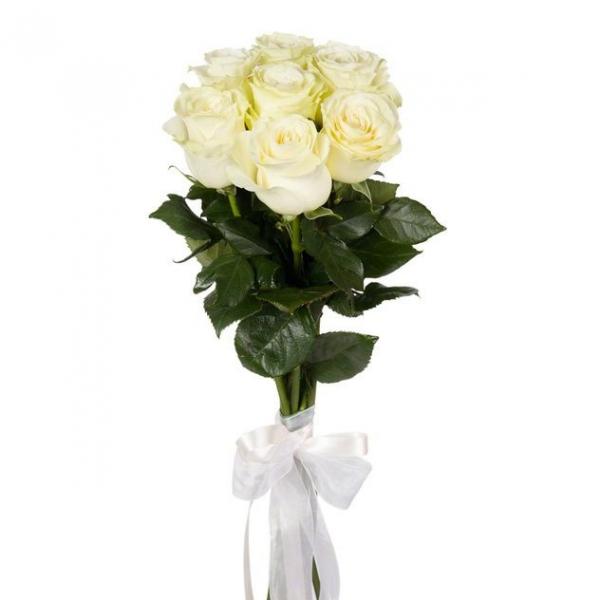 7 white roses. images/pages/gift/7-white-roses-p7F.jpg