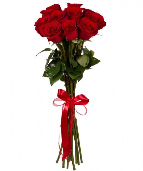 9 Red Roses. 9_Red_Roses-9g4.jpg