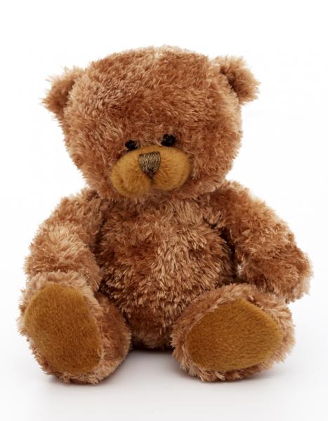 Teddy-bear. Teddy-bear-tdg.jpg